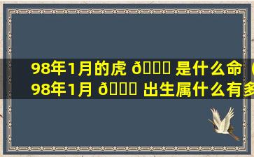 98年1月的虎 🐛 是什么命（98年1月 🐘 出生属什么有多大）